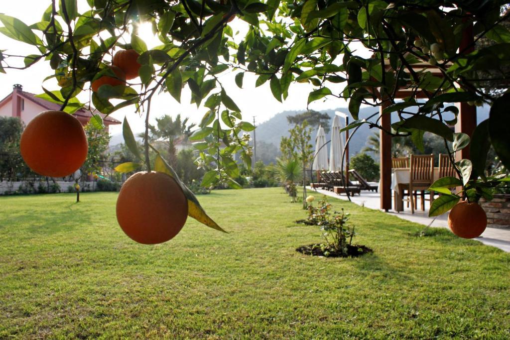 Gocek Arion Hotel ภายนอก รูปภาพ